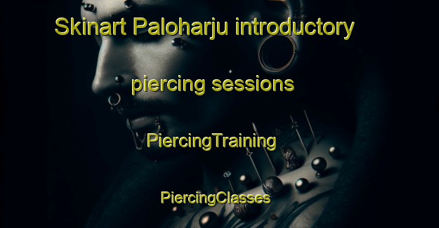 Skinart Paloharju introductory piercing sessions | PiercingTraining | PiercingClasses | SkinartTraining-Finland