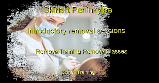 Skinart Peninkylae introductory removal sessions | #RemovalTraining #RemovalClasses #SkinartTraining-Finland