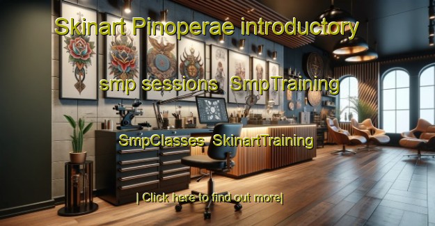 Skinart Pinoperae introductory smp sessions | SmpTraining | SmpClasses | SkinartTraining-Finland