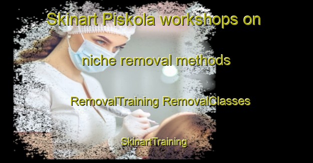 Skinart Piskola workshops on niche removal methods | #RemovalTraining #RemovalClasses #SkinartTraining-Finland