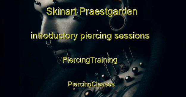 Skinart Praestgarden introductory piercing sessions | PiercingTraining | PiercingClasses | SkinartTraining-Finland