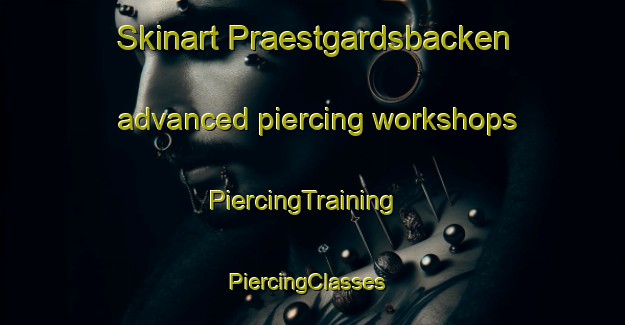 Skinart Praestgardsbacken advanced piercing workshops | PiercingTraining | PiercingClasses | SkinartTraining-Finland