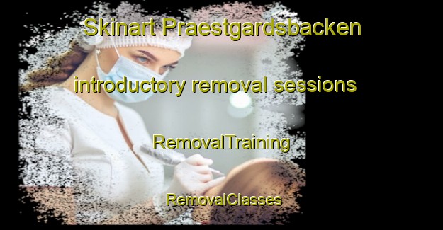 Skinart Praestgardsbacken introductory removal sessions | RemovalTraining | RemovalClasses | SkinartTraining-Finland
