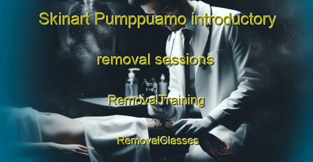 Skinart Pumppuamo introductory removal sessions | RemovalTraining | RemovalClasses | SkinartTraining-Finland