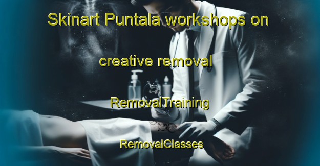 Skinart Puntala workshops on creative removal | RemovalTraining | RemovalClasses | SkinartTraining-Finland