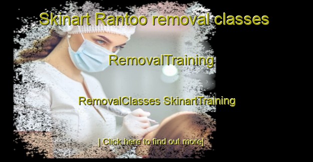 Skinart Rantoo removal classes | #RemovalTraining #RemovalClasses #SkinartTraining-Finland