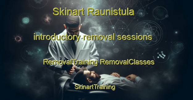 Skinart Raunistula introductory removal sessions | #RemovalTraining #RemovalClasses #SkinartTraining-Finland