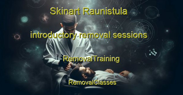 Skinart Raunistula introductory removal sessions | RemovalTraining | RemovalClasses | SkinartTraining-Finland