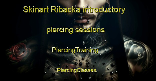 Skinart Ribacka introductory piercing sessions | PiercingTraining | PiercingClasses | SkinartTraining-Finland