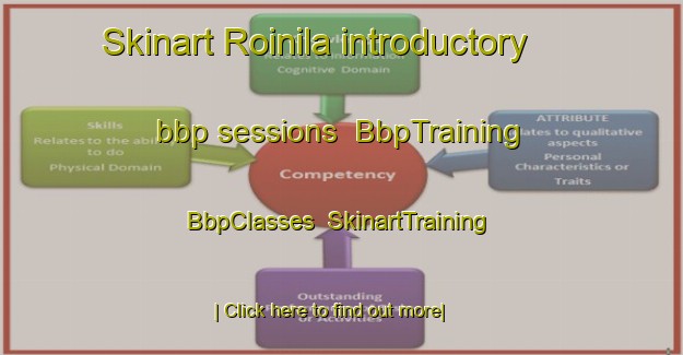 Skinart Roinila introductory bbp sessions | BbpTraining | BbpClasses | SkinartTraining-Finland
