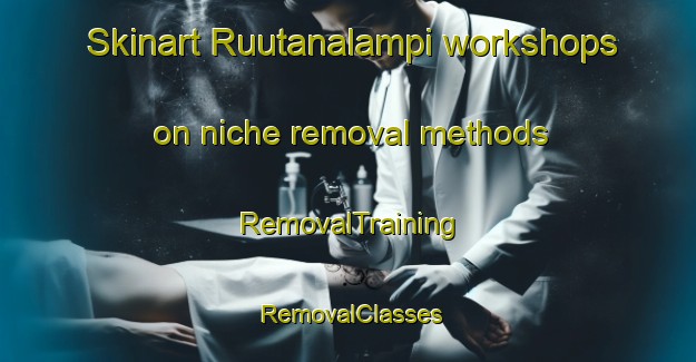 Skinart Ruutanalampi workshops on niche removal methods | RemovalTraining | RemovalClasses | SkinartTraining-Finland