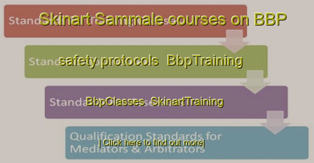 Skinart Sammale courses on BBP safety protocols | BbpTraining | BbpClasses | SkinartTraining-Finland