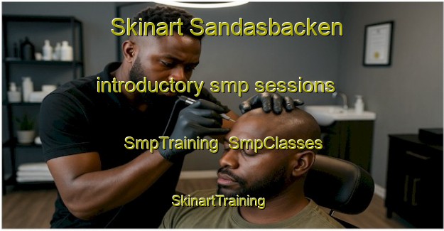 Skinart Sandasbacken introductory smp sessions | SmpTraining | SmpClasses | SkinartTraining-Finland