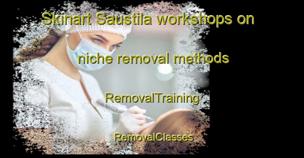 Skinart Saustila workshops on niche removal methods | RemovalTraining | RemovalClasses | SkinartTraining-Finland