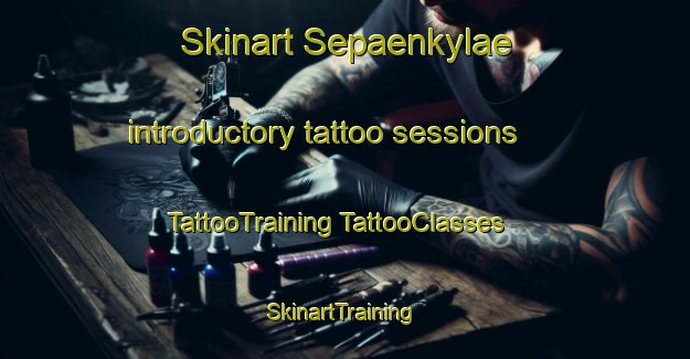 Skinart Sepaenkylae introductory tattoo sessions | #TattooTraining #TattooClasses #SkinartTraining-Finland