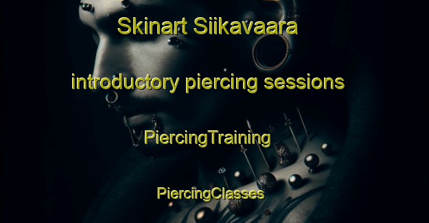 Skinart Siikavaara introductory piercing sessions | PiercingTraining | PiercingClasses | SkinartTraining-Finland