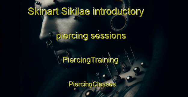 Skinart Sikilae introductory piercing sessions | PiercingTraining | PiercingClasses | SkinartTraining-Finland