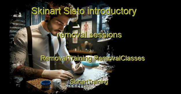 Skinart Sisto introductory removal sessions | #RemovalTraining #RemovalClasses #SkinartTraining-Finland