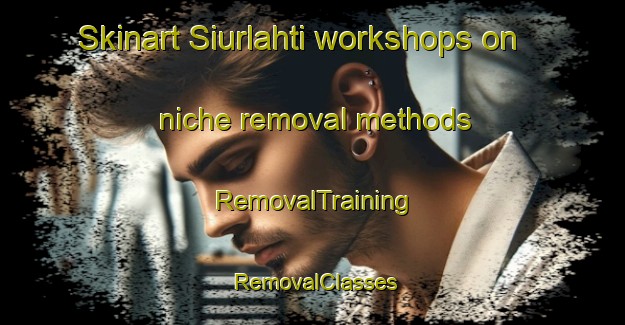 Skinart Siurlahti workshops on niche removal methods | RemovalTraining | RemovalClasses | SkinartTraining-Finland
