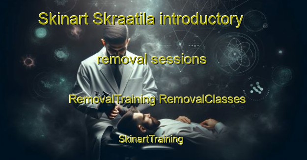 Skinart Skraatila introductory removal sessions | #RemovalTraining #RemovalClasses #SkinartTraining-Finland