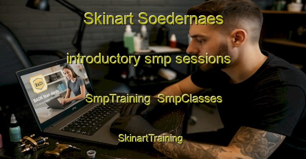 Skinart Soedernaes introductory smp sessions | SmpTraining | SmpClasses | SkinartTraining-Finland