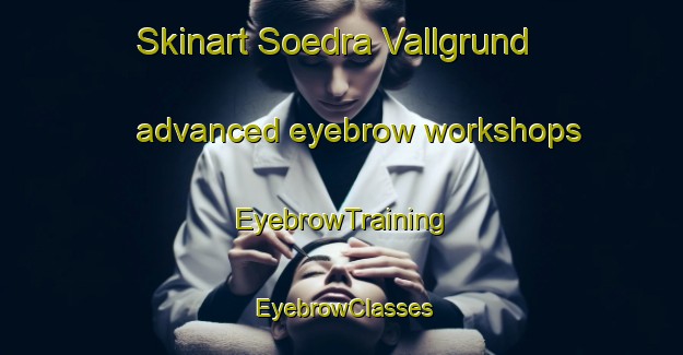 Skinart Soedra Vallgrund advanced eyebrow workshops | EyebrowTraining | EyebrowClasses | SkinartTraining-Finland