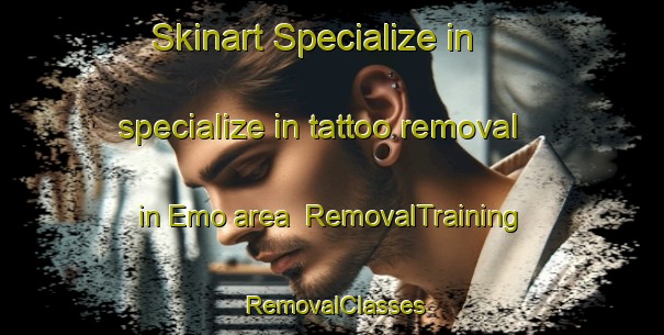 Skinart Specialize in specialize in tattoo removal in Emo area | RemovalTraining | RemovalClasses | SkinartTraining-Finland