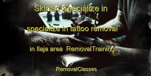 Skinart Specialize in specialize in tattoo removal in Ilaja area | RemovalTraining | RemovalClasses | SkinartTraining-Finland