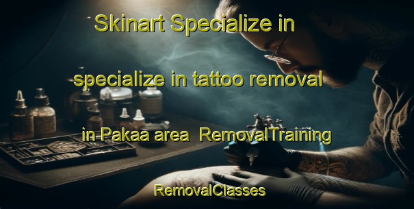 Skinart Specialize in specialize in tattoo removal in Pakaa area | RemovalTraining | RemovalClasses | SkinartTraining-Finland