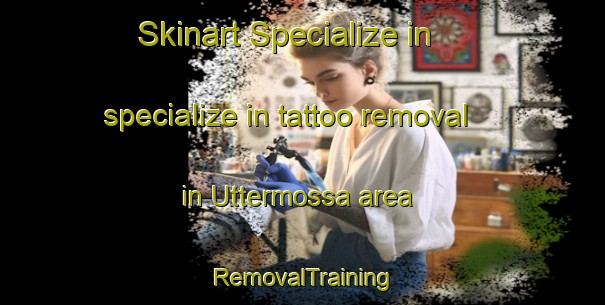 Skinart Specialize in specialize in tattoo removal in Uttermossa area | RemovalTraining | RemovalClasses | SkinartTraining-Finland