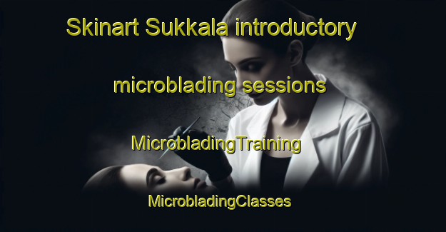 Skinart Sukkala introductory microblading sessions | MicrobladingTraining | MicrobladingClasses | SkinartTraining-Finland