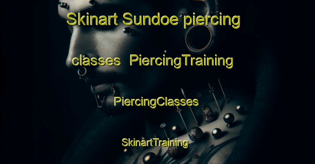 Skinart Sundoe piercing classes | #PiercingTraining #PiercingClasses #SkinartTraining-Finland