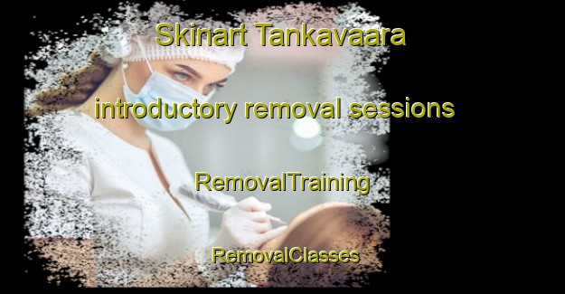 Skinart Tankavaara introductory removal sessions | RemovalTraining | RemovalClasses | SkinartTraining-Finland