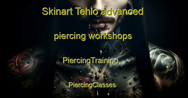 Skinart Tehlo advanced piercing workshops | PiercingTraining | PiercingClasses | SkinartTraining-Finland