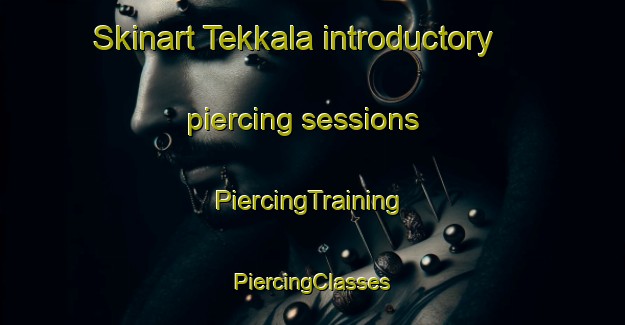 Skinart Tekkala introductory piercing sessions | #PiercingTraining #PiercingClasses #SkinartTraining-Finland