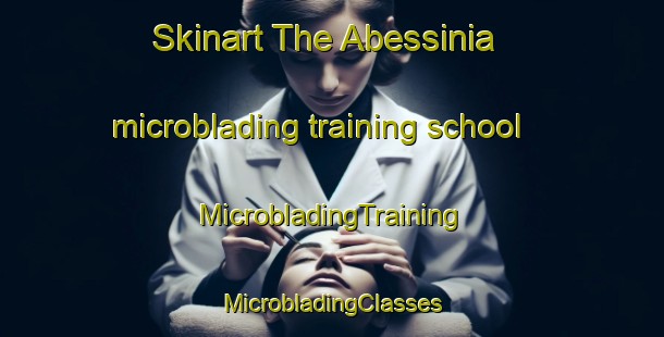 Skinart The Abessinia microblading training school | #MicrobladingTraining #MicrobladingClasses #SkinartTraining-Finland