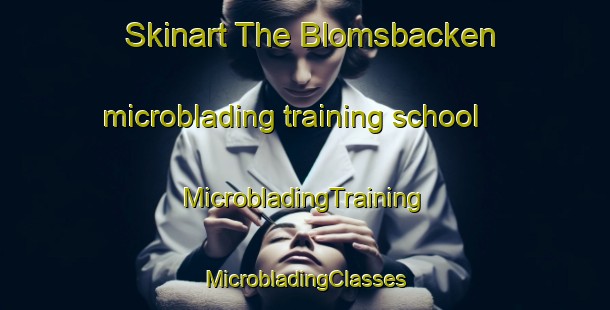 Skinart The Blomsbacken microblading training school | #MicrobladingTraining #MicrobladingClasses #SkinartTraining-Finland