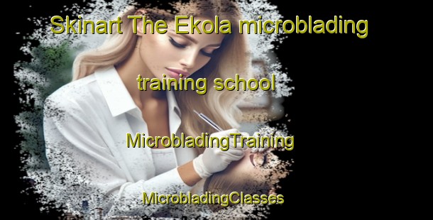Skinart The Ekola microblading training school | MicrobladingTraining | MicrobladingClasses | SkinartTraining-Finland
