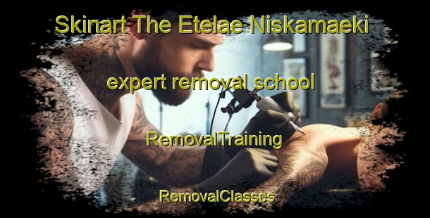 Skinart The Etelae Niskamaeki expert removal school | RemovalTraining | RemovalClasses | SkinartTraining-Finland