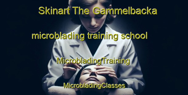 Skinart The Gammelbacka microblading training school | #MicrobladingTraining #MicrobladingClasses #SkinartTraining-Finland