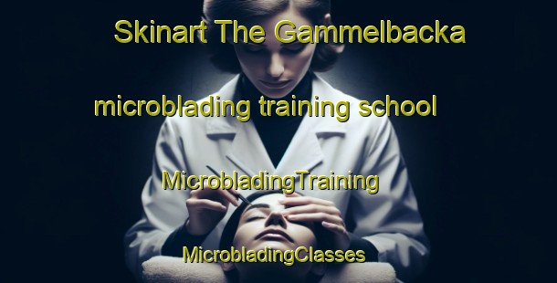 Skinart The Gammelbacka microblading training school | MicrobladingTraining | MicrobladingClasses | SkinartTraining-Finland