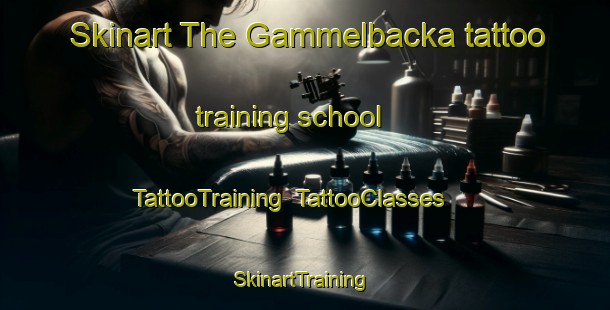 Skinart The Gammelbacka tattoo training school | TattooTraining | TattooClasses | SkinartTraining-Finland