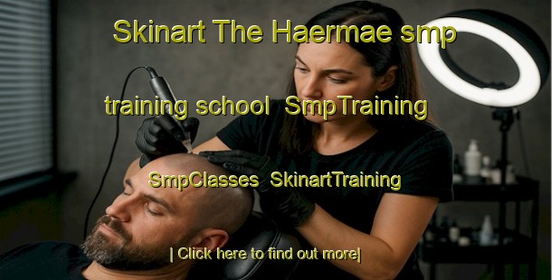 Skinart The Haermae smp training school | SmpTraining | SmpClasses | SkinartTraining-Finland