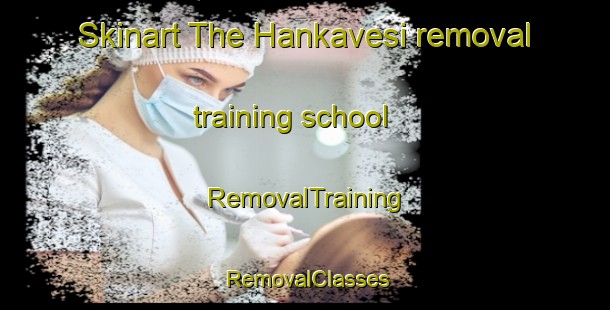 Skinart The Hankavesi removal training school | RemovalTraining | RemovalClasses | SkinartTraining-Finland