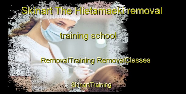 Skinart The Hietamaeki removal training school | #RemovalTraining #RemovalClasses #SkinartTraining-Finland