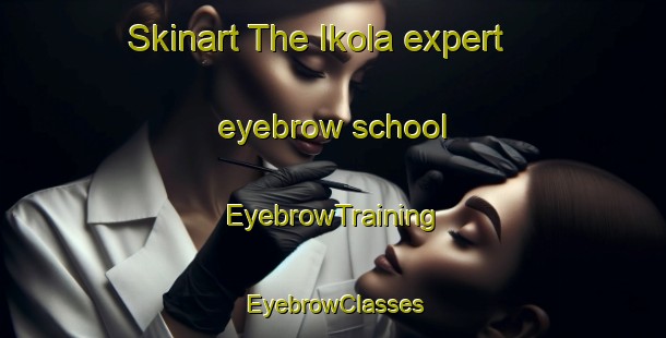 Skinart The Ikola expert eyebrow school | EyebrowTraining | EyebrowClasses | SkinartTraining-Finland