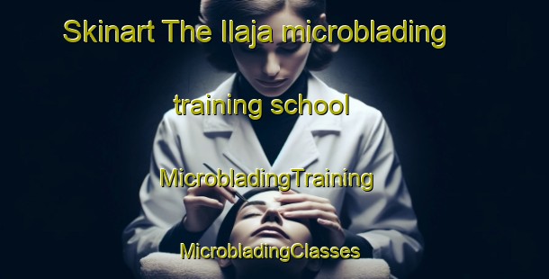 Skinart The Ilaja microblading training school | MicrobladingTraining | MicrobladingClasses | SkinartTraining-Finland