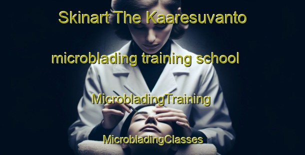 Skinart The Kaaresuvanto microblading training school | #MicrobladingTraining #MicrobladingClasses #SkinartTraining-Finland