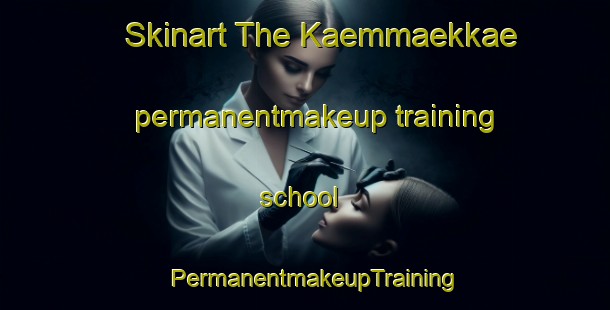 Skinart The Kaemmaekkae permanentmakeup training school | PermanentmakeupTraining | PermanentmakeupClasses | SkinartTraining-Finland