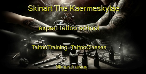 Skinart The Kaermeskylae expert tattoo school | TattooTraining | TattooClasses | SkinartTraining-Finland